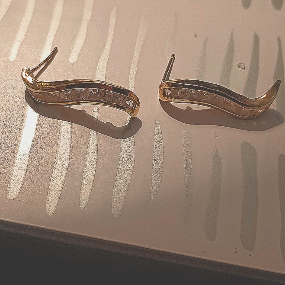 Women's earings